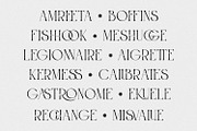 Roashe-Serif Font Family (Updated), a Serif Font by Nathatype (Thumbnail 2 of 10)