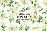 Watercolor white Poinsettia clipart, an Illustration by OlDm_Shop (Thumbnail 1 of 11)