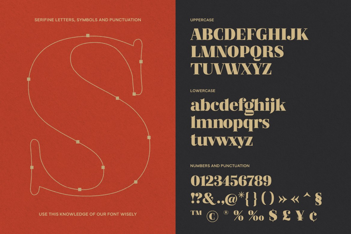 Serifine, a Serif Font by graphicook (Photo 2 of 10)