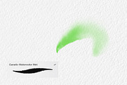 Watercolor Brushes for Procreate App, a Brush Add-On by Canatic (Thumbnail 6 of 9)