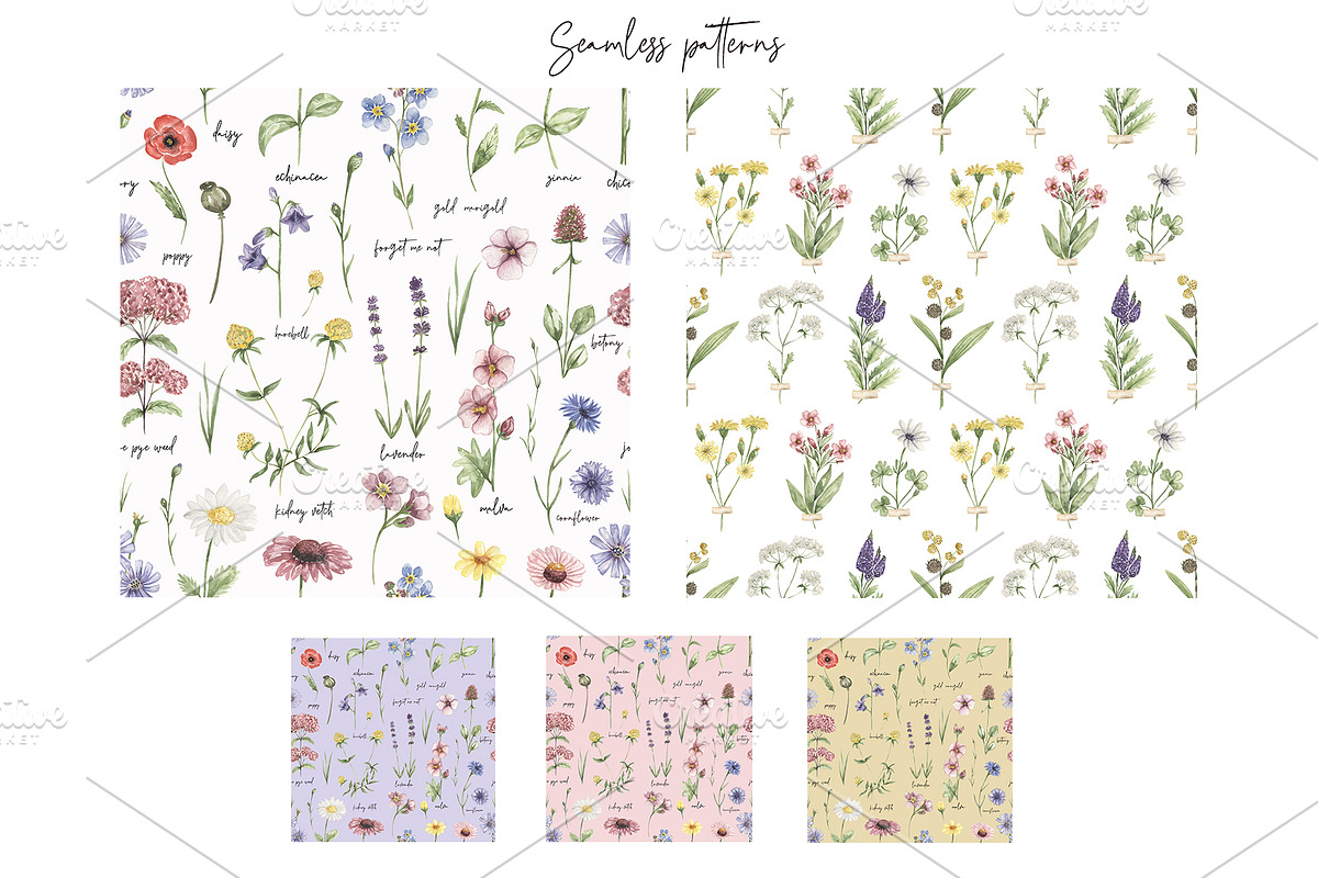 Watercolor Field Flowers Collection, a Decorative Illustration by MayaNavits (Photo 12 of 16)