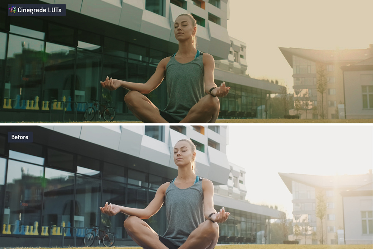 CineGrades LUTs v.3 – Cinematic LUTs, a Preset Add-On by CineMart (Photo 6 of 9)