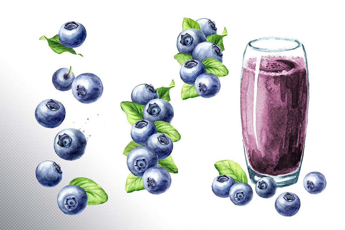 Blueberry. Watercolor collection, a Food Illustration by Daria Ustiugova (Photo 11 of 25)