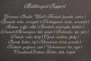 Dalvic – Calligraphy Font, a Script Font by NDNL Studio (Thumbnail 7 of 11)