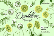 Dandelions Digital Clipart, a Decorative Illustration by Nataliapiache (Thumbnail 1 of 4)