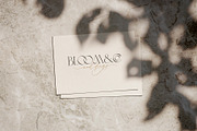 Simple Serenity Serif & Script, a Serif Font by Sam Parrett (Thumbnail 6 of 12)