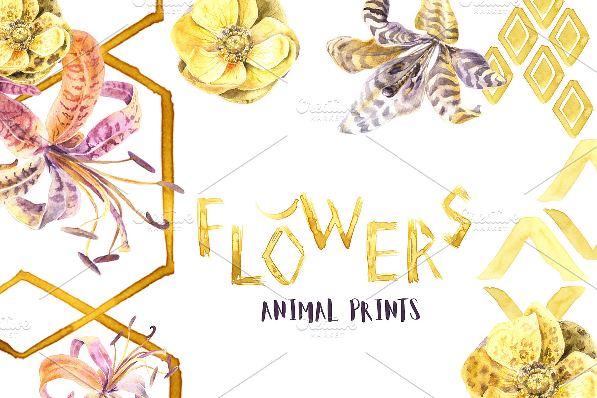 -20% Wild Dreams Watercolor Set, an Animal Illustration by Cat In Colour (Photo 3 of 6)