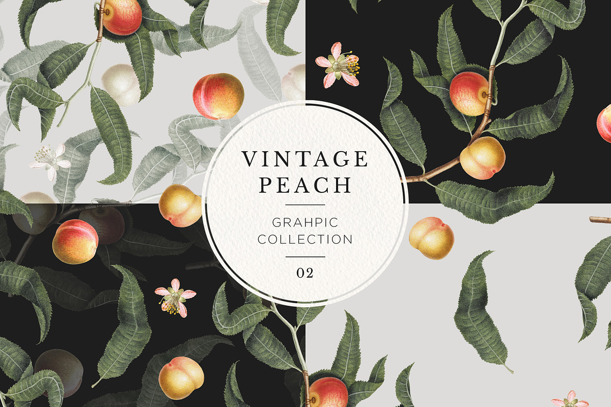 Vintage Peach Botanical Graphics #02, an Object Illustration by Olga Begak Art & Design (Photo 1 of 8)