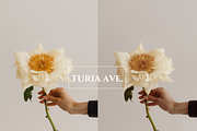 Buttery Soft Lightroom Preset, a Preset Add-On by Turia Avenue (Thumbnail 6 of 13)