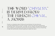 Gracheva | Premium Display Font, a Serif Font by Aluyeah Studio (Thumbnail 7 of 16)