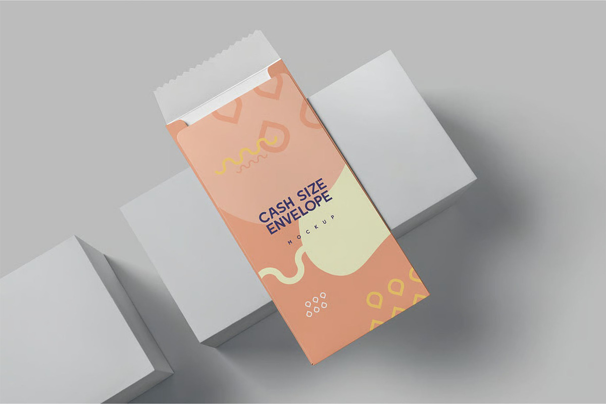 Cash Size Catalog Envelope Mockups, an Advertising Mockup by megostudi0 (Photo 5 of 7)