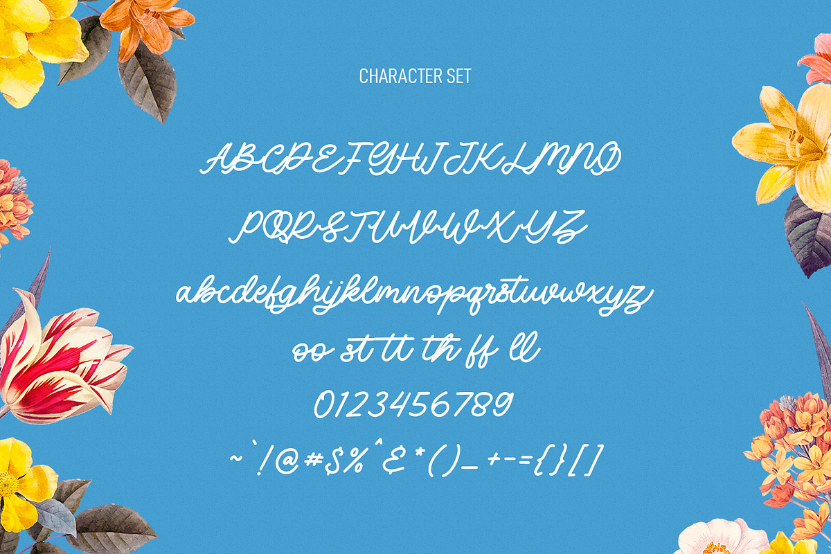 Blufcrowds Classic Script Font, a Script Font by Maulana Creative (Photo 3 of 10)