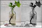 Leica Colors & Sensor Luminance, a Plug-in Add-On by Raztrend (Thumbnail 13 of 29)