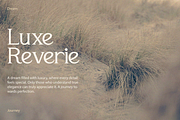 Feronia – Elegant Serif Font, a Serif Font by Vadovastd (Thumbnail 3 of 8)