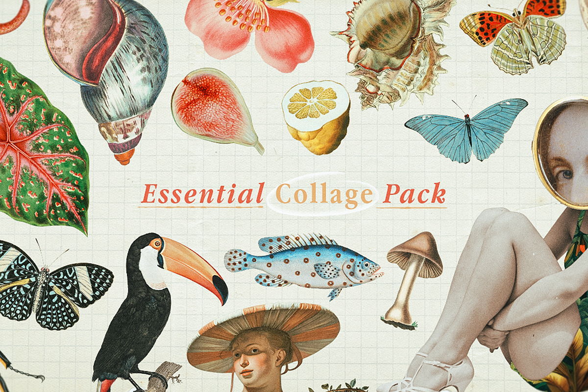 Essential Collage Pack, an Object Graphic by The Ephemera Mercadito (Photo 1 of 2)