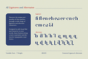 Berkara - Stylish Serif Display, a Serif Font by Pandeka Studio (Thumbnail 8 of 9)