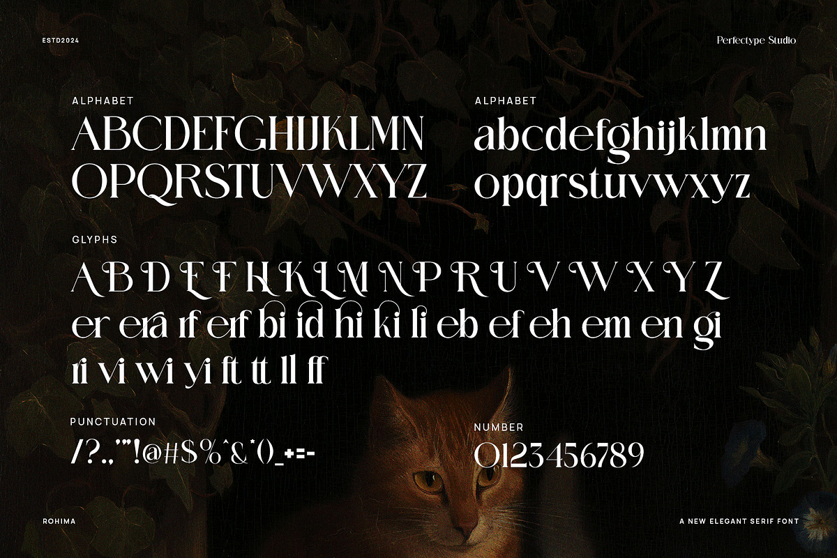 Rohima Modern Serif Font, a Serif Font by Perfectype (Photo 8 of 8)