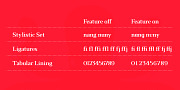 Kalpa, a Serif Font by Octotypo (Thumbnail 4 of 8)