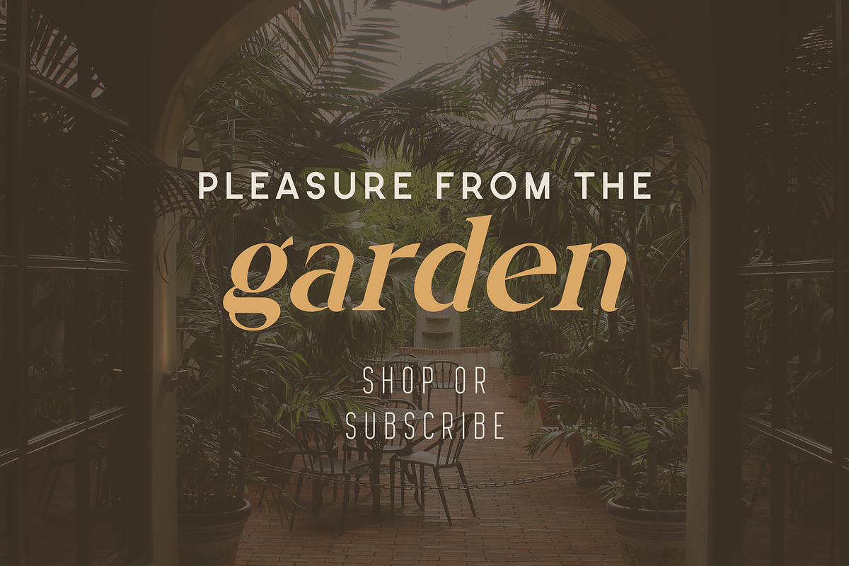 Serifora versatile typeface, a Serif Font by VP Fonts (Photo 4 of 11)