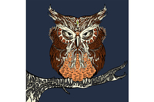 Brown Owl