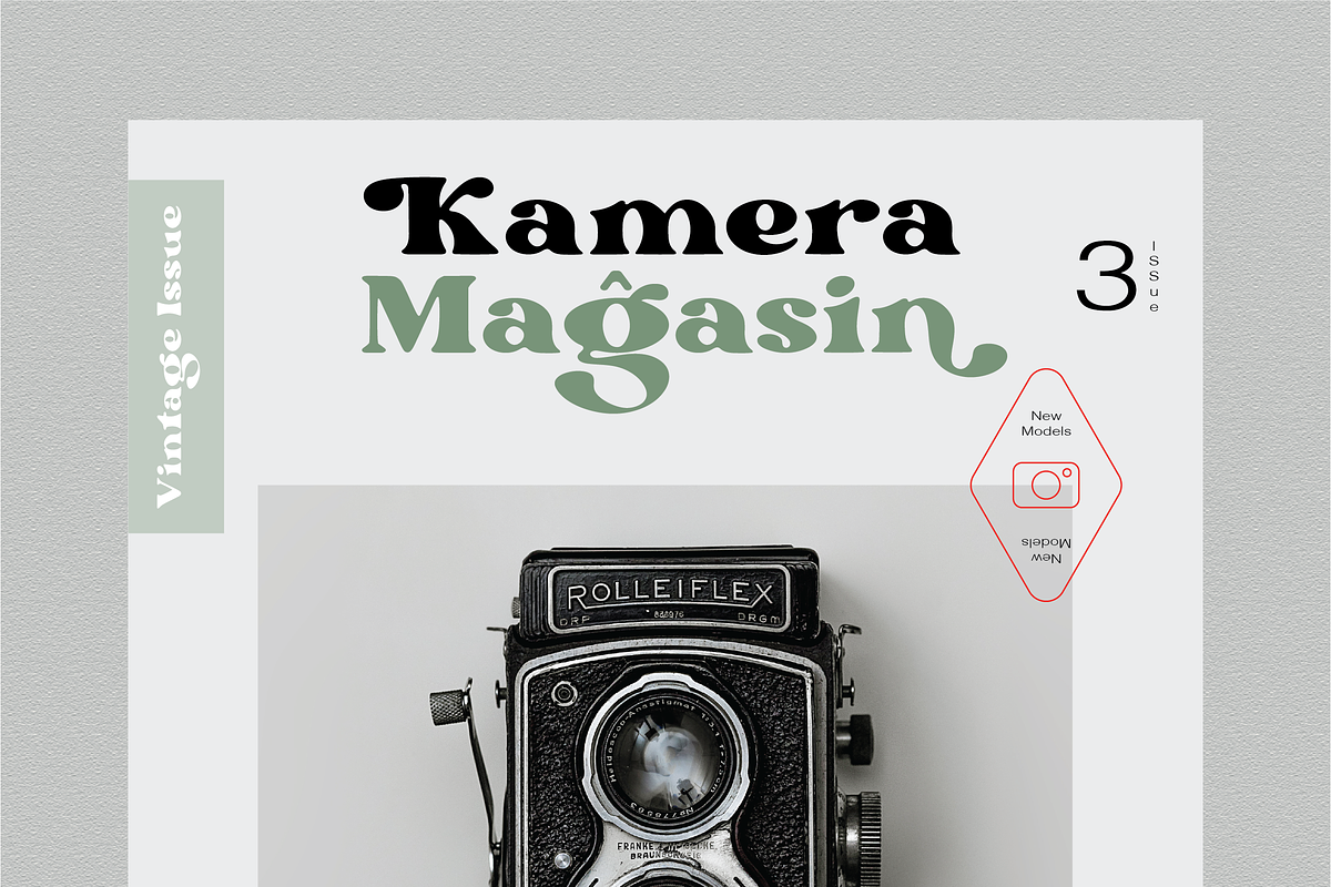 Gustafsson, a Serif Font by Portion.Labs (Photo 9 of 11)