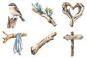 Driftwood & Coastal Decor Clipart, an Illustration by Pixels.Craft (Thumbnail 5 of 8)