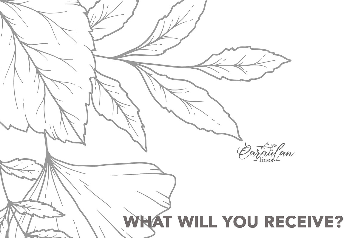 Fall Foliage Procreate Stamps, a Brush Add-On by CaraulanStore (Photo 4 of 5)