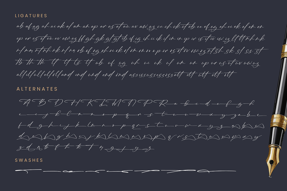 Brington Australi Stylish Signature, a Script Font by stylishtype.co (Photo 19 of 20)