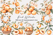Peach Watercolor Clipart, an Illustration by Designworld (Thumbnail 1 of 5)