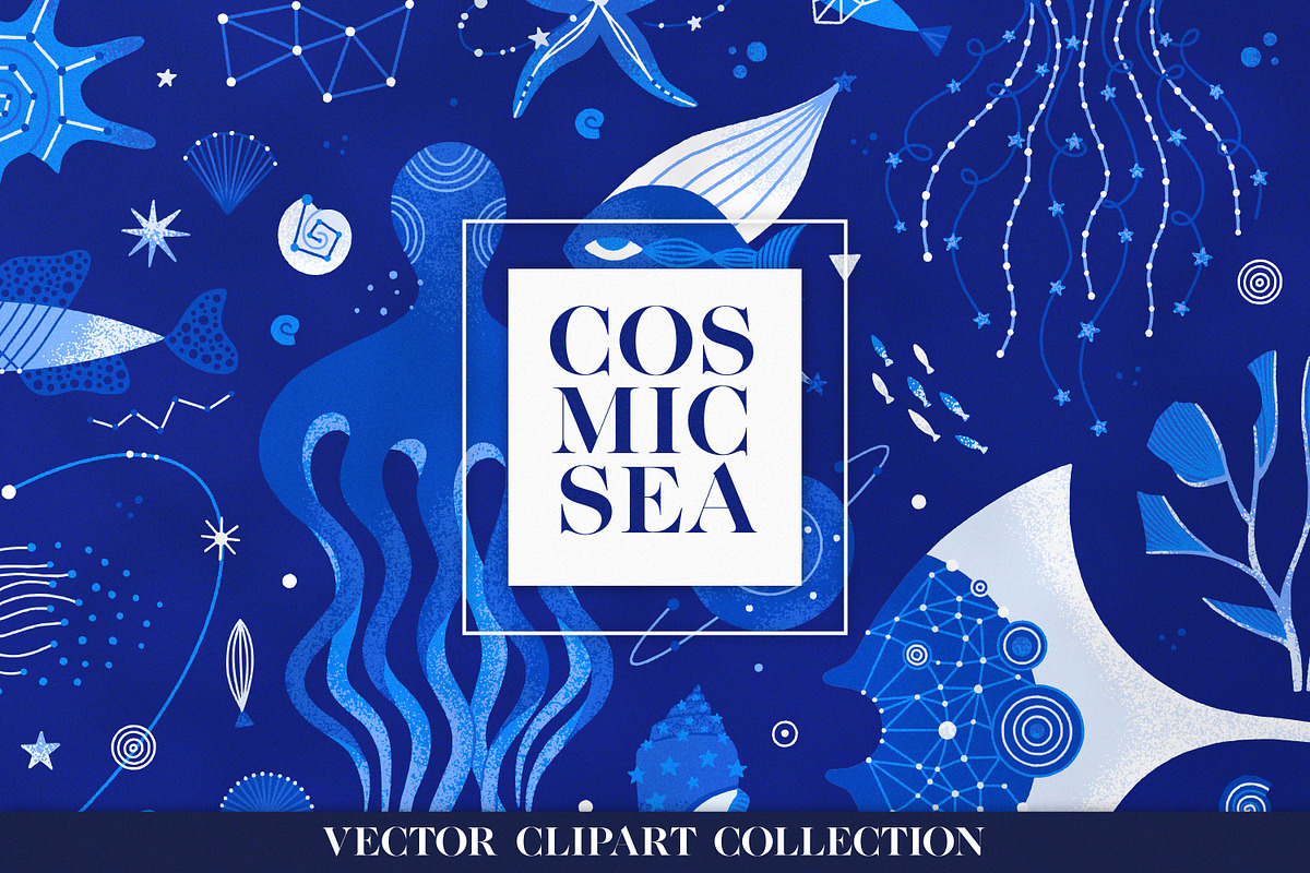 Cosmic Sea - Vector Collection, an Animal Illustration by Leila Divine (Photo 1 of 9)
