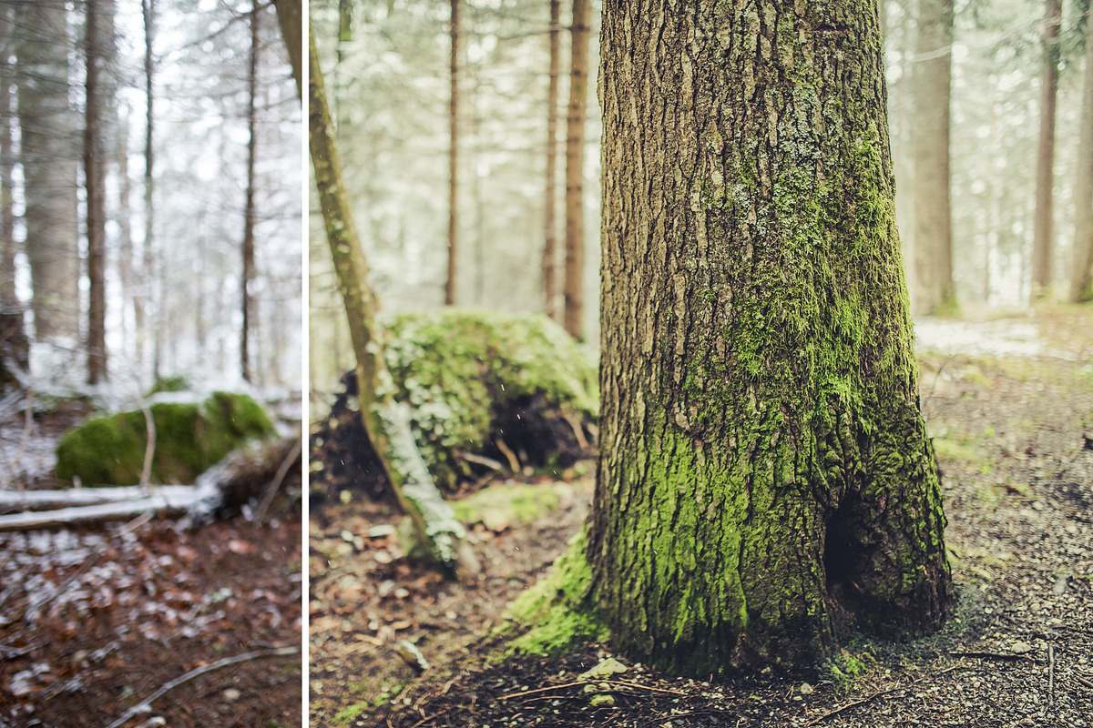 MILLION OF GREEN-Set of 20presets Lr, an Action Add-On by Graphics, Presets, Photos (Photo 7 of 21)