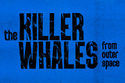 PunkRocker Font Trio, a Sans Serif Font by Fenotype (Thumbnail 10 of 10)