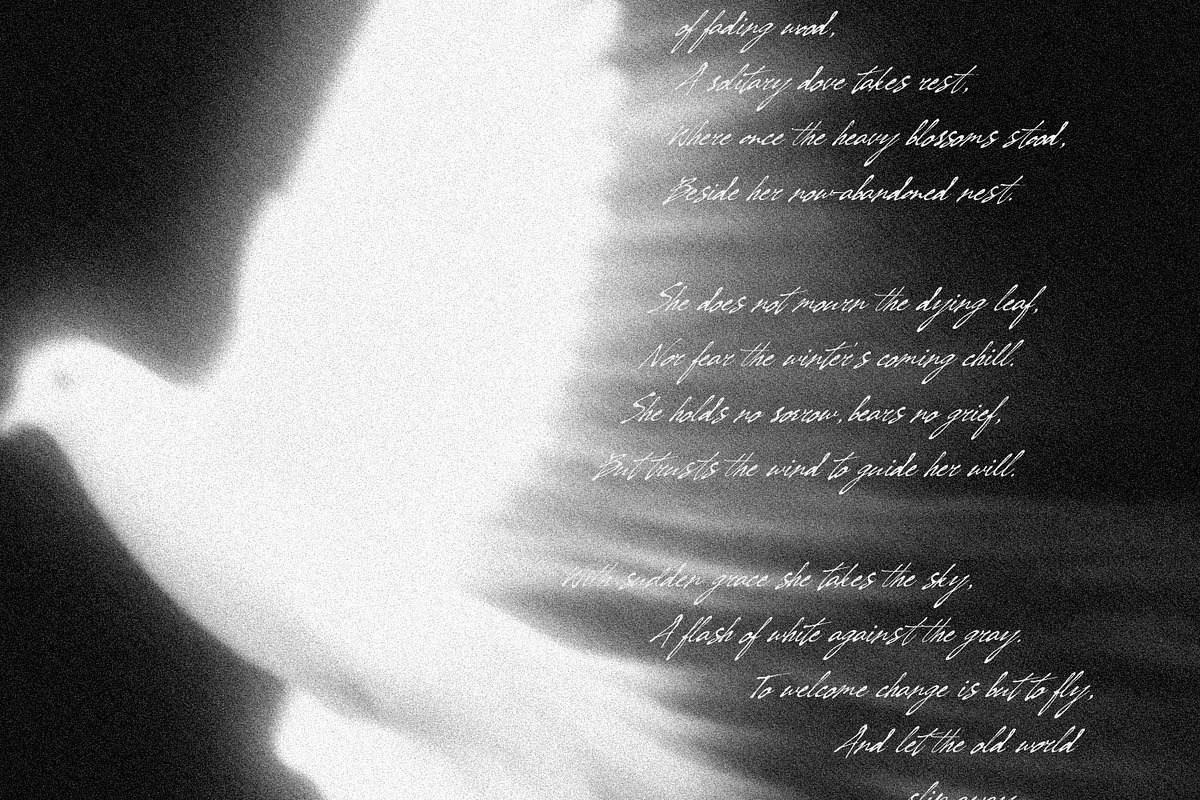Sunday Poetry - Handwritten Script, a Handwritten Font by AndrewPixelType (Photo 7 of 13)