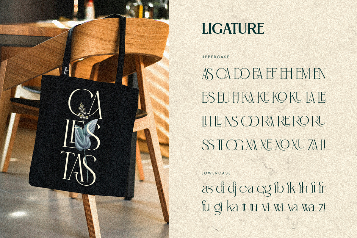 Emirola, a Serif Font by Burntilldead (Photo 7 of 14)