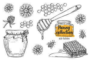 Honey vintage illustration