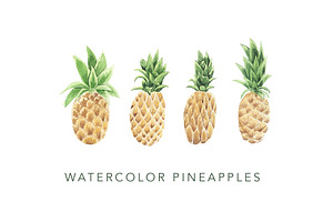 Watercolor Pineapples