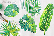 Tropical palm leaves, an Illustration by OJardin (Thumbnail 5 of 8)