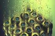 Dispersion Photoshop Action, an Action Add-On by GrafxFun (Thumbnail 3 of 4)