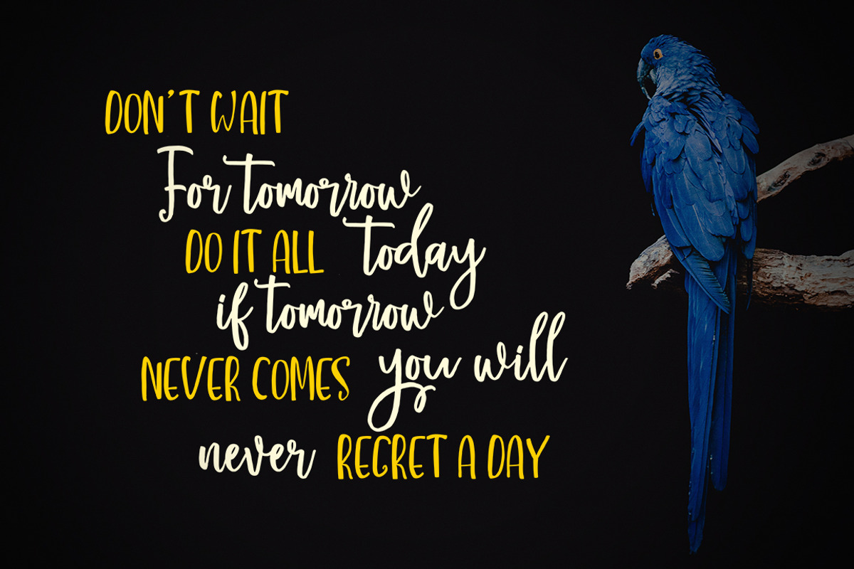 Western Brush Font Duo, a Handwritten Font by Soft Creative (Photo 4 of 7)