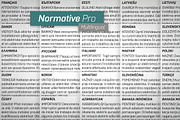 Normative Pro – 12 fonts, a Sans Serif Font by Green Type (Thumbnail 10 of 11)