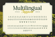 Anavel Elegance, a Serif Font by Burntilldead (Thumbnail 10 of 11)