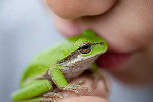 Close up on a child kissing small, an Animal Photo by MistyDay