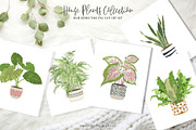 House Plants Collection Set II, a Graphic by SmallHouseBigPony (Thumbnail 6 of 21)