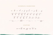 Hyldae Script Font, a Script Font by Get Studio (Thumbnail 10 of 10)