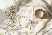 Watercolor dreamy Wildflowers Set, a Decorative Illustration by Grace Noboa Illustrations (Thumbnail 7 of 15)