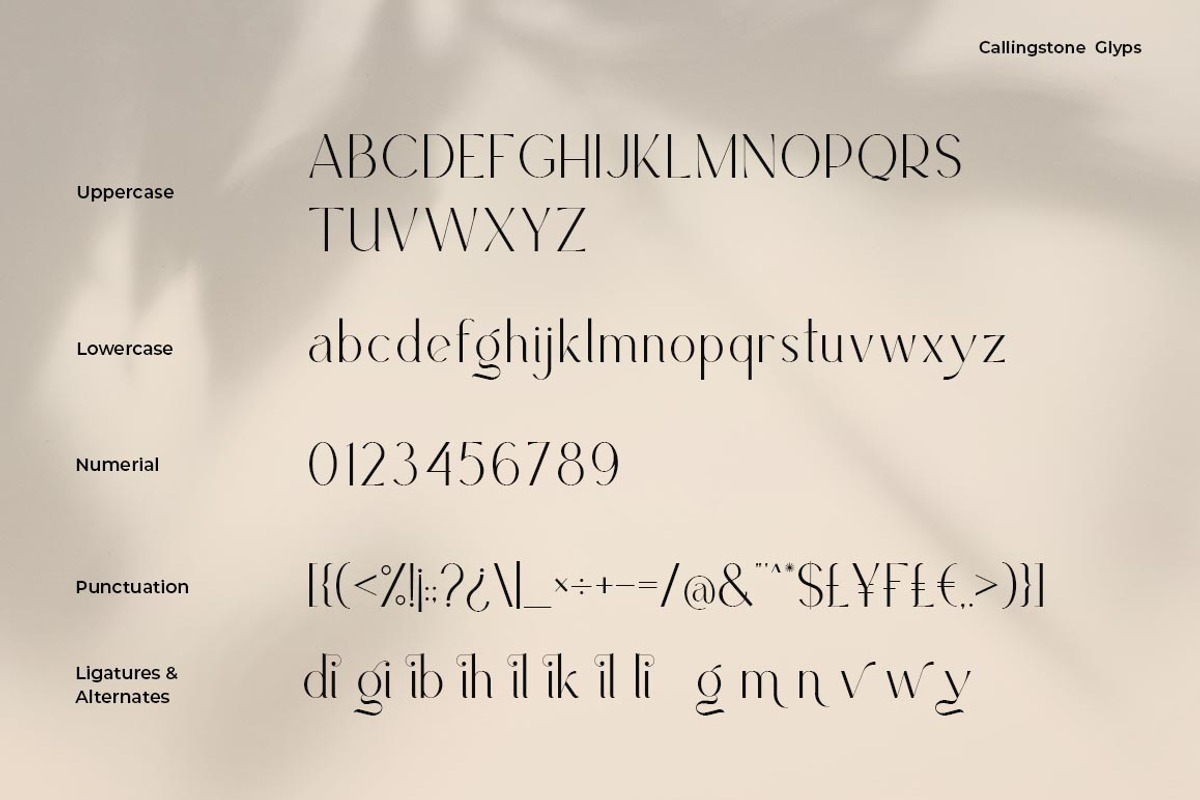 Callingstone Modern Sans Serif Font, a Sans Serif Font by Heinzel Std (Photo 8 of 9)