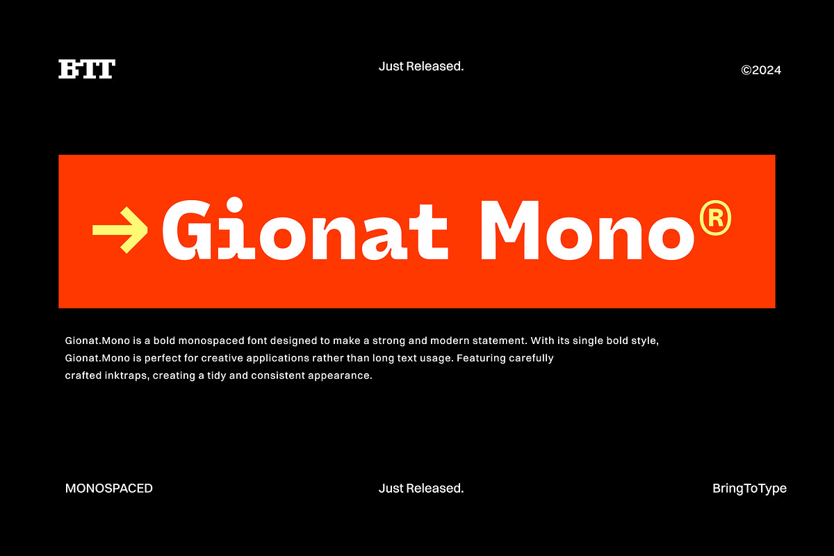 Gionat Mono, a Sans Serif Font by Bring To Type (Photo 1 of 7)