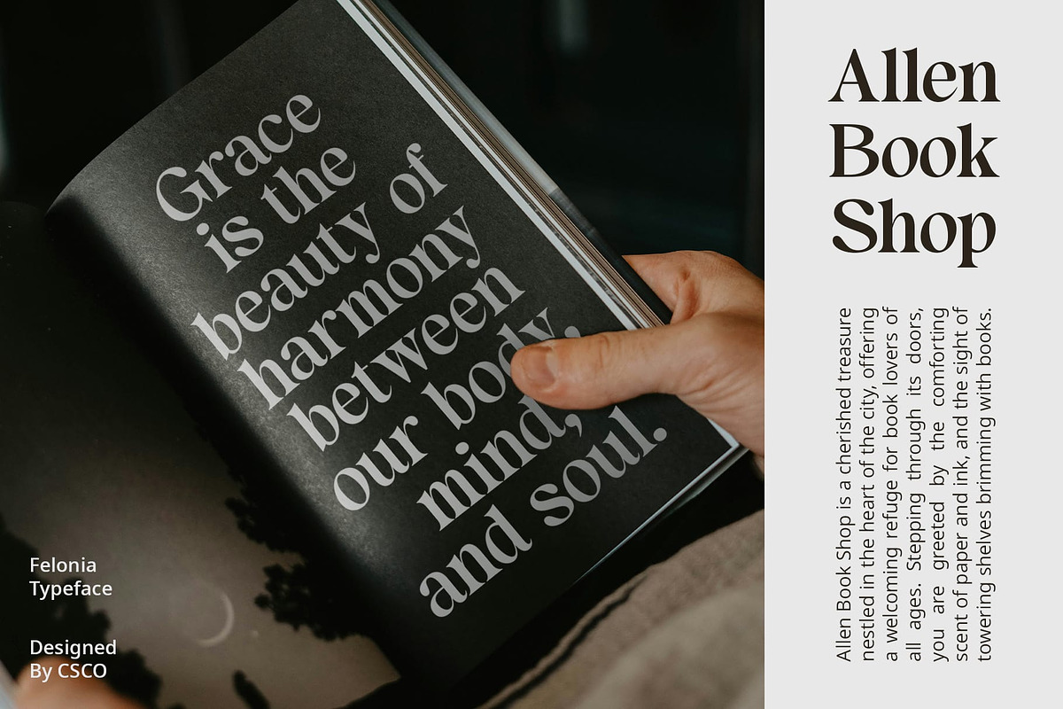 Felonia – Classic Serif, a Serif Font by Craft Supply Co. (Photo 5 of 8)