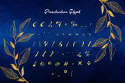 Rocha Swaty - Retro Script Font, a Script Font by Dhabee (Thumbnail 13 of 15)