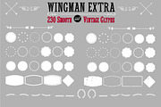 50% OFF Wingman, a Script Font by Fontforecast (Thumbnail 11 of 12)